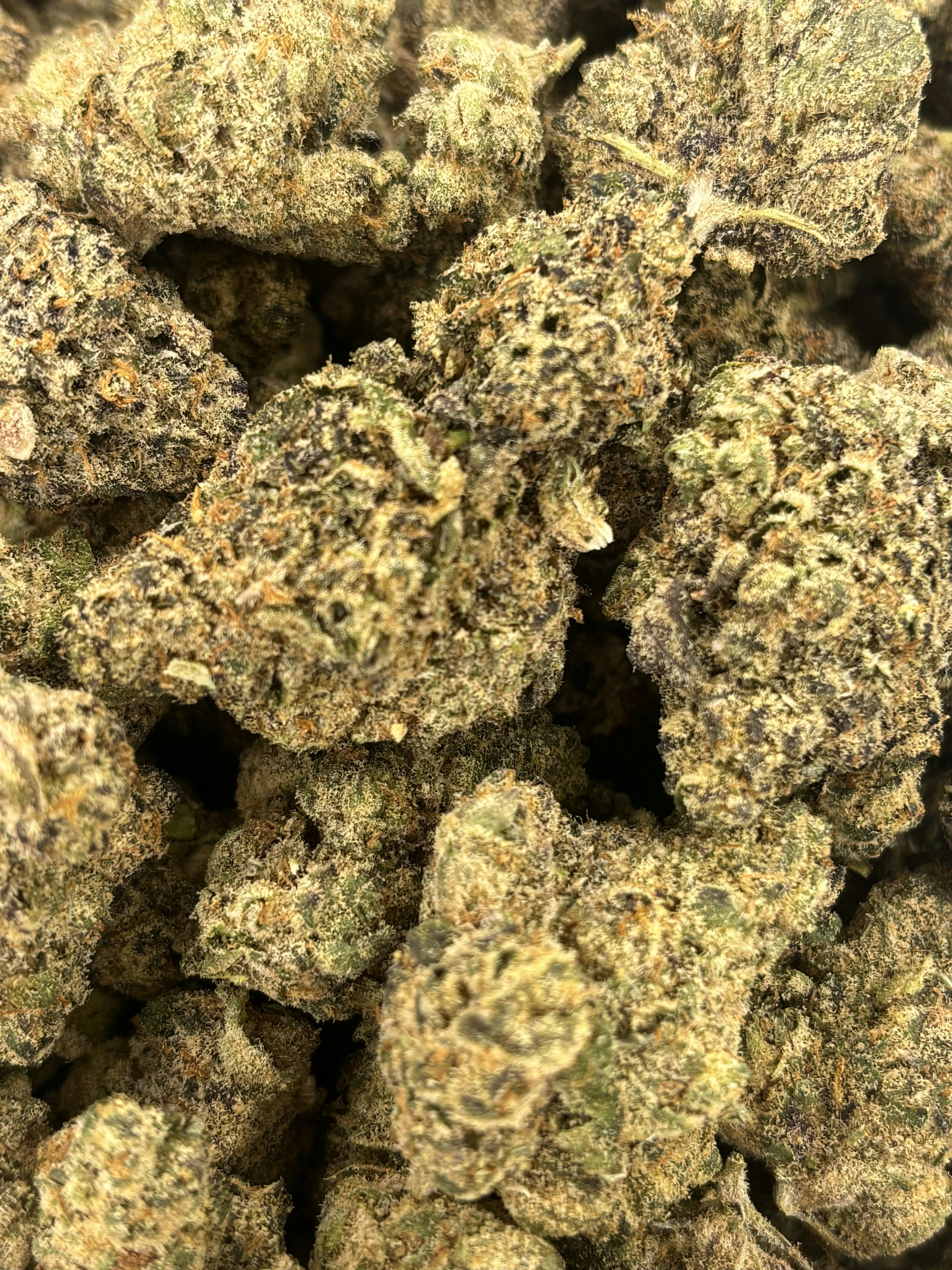 Pro Gro | Candy Cream Puff | Deli Flower (Platinum)