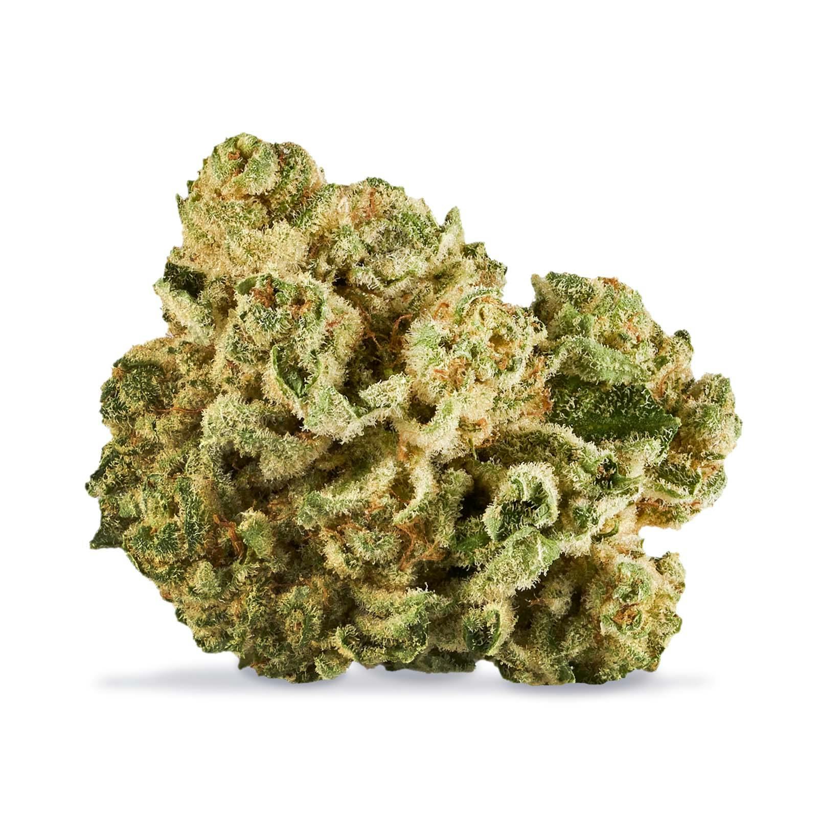 Sweet berry kush (banana og x purple punch)