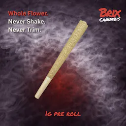 GG4 Pre-Roll