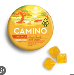 Mango CBD Gummies