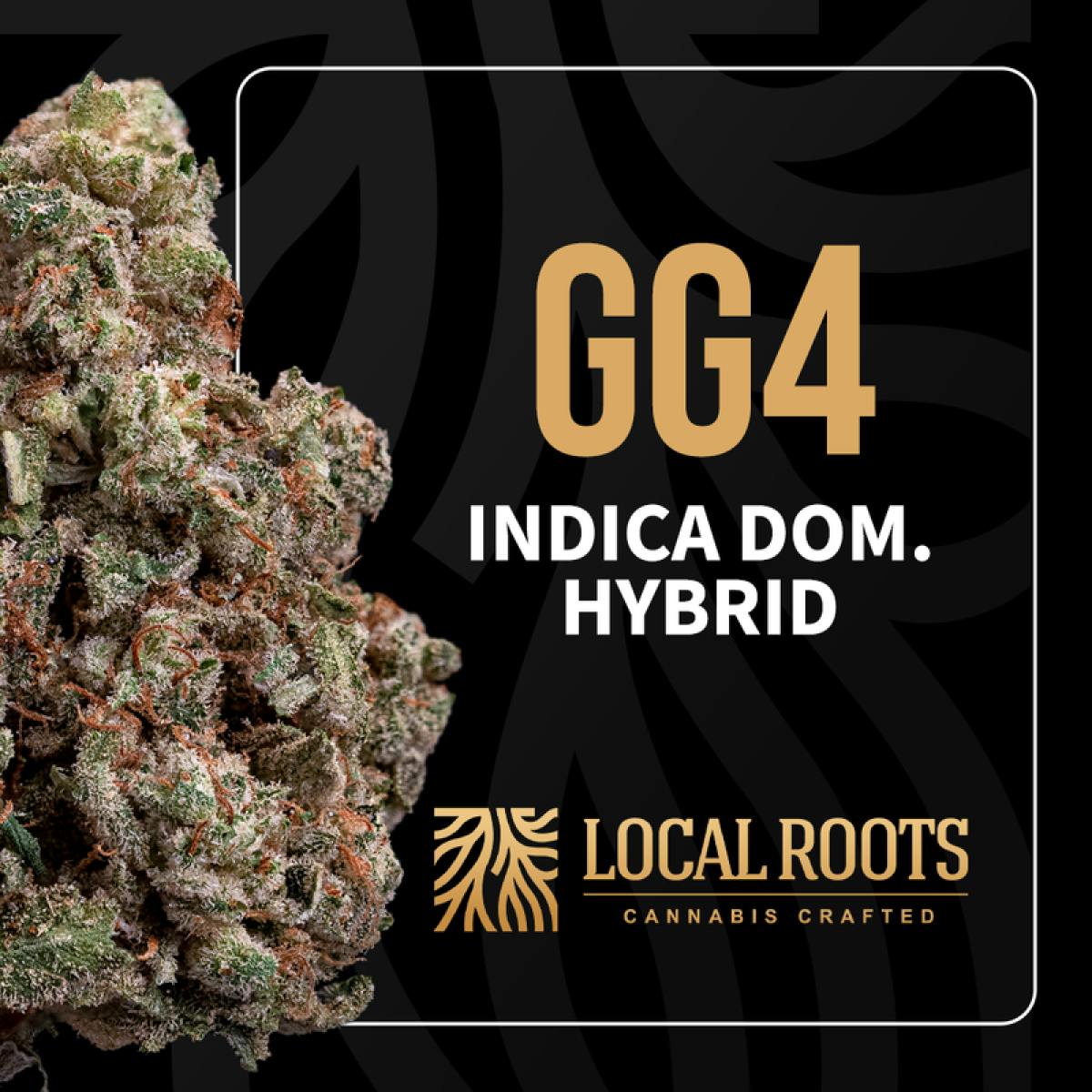 Product GG4 (H) | Flower