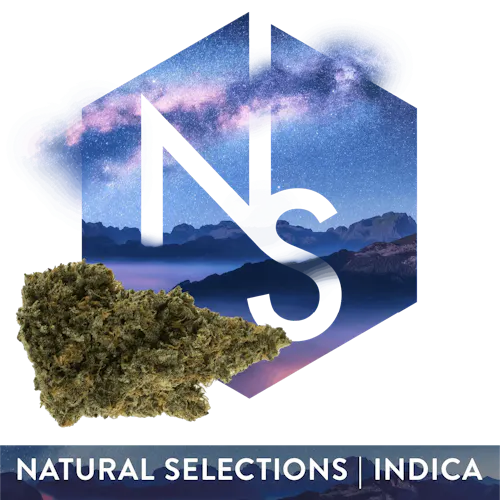 Natural Selections Garlic Drip-1