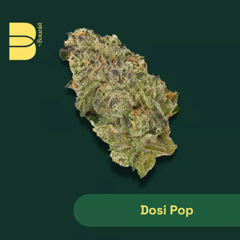 Product IGF Botanist 7g Flower - Dosi Pop (Indica)
