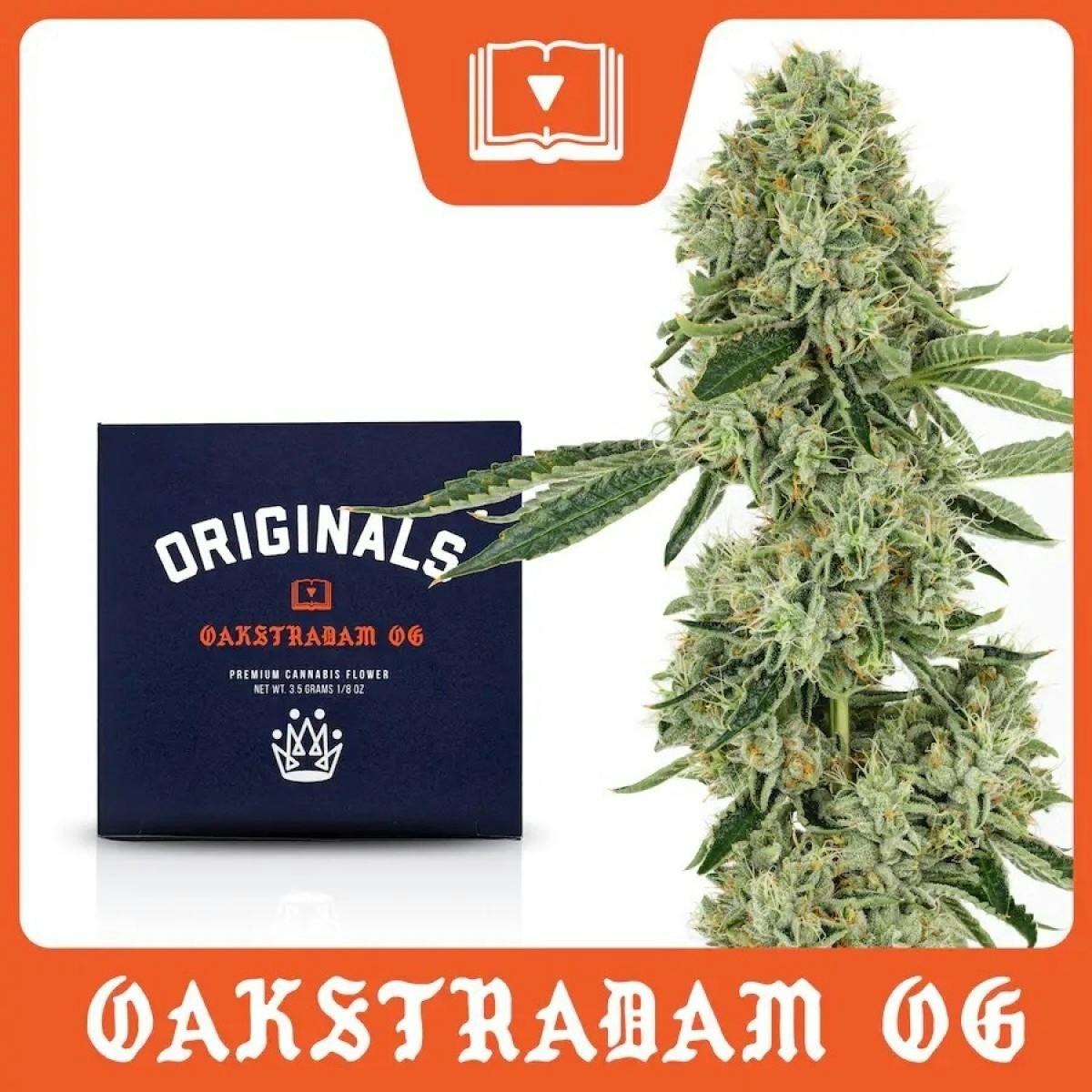 Photo of Originals Oakstradam OG 3.5g
