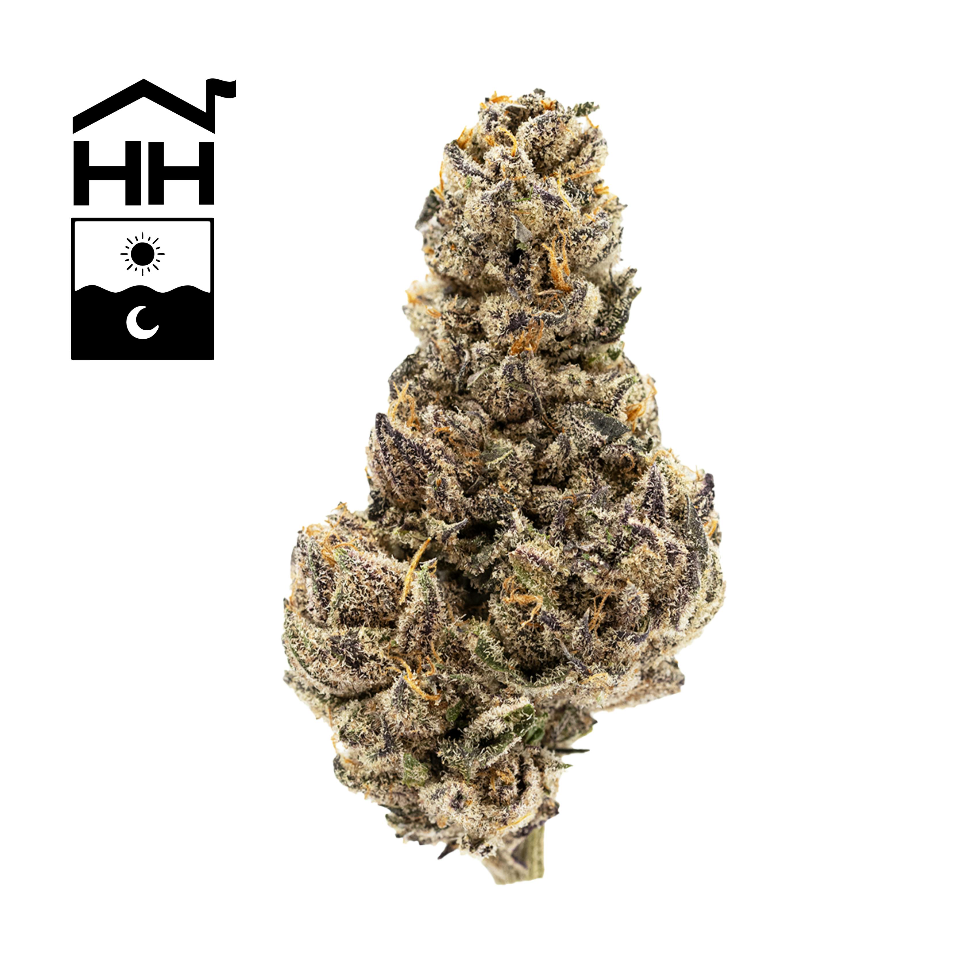 Harbor House Collective Jack's Dream | 3.5g - Harbor House