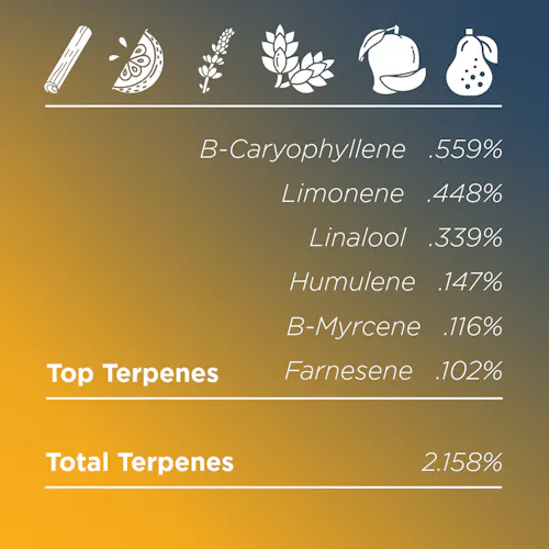 Deli Style | Dozicot – Hybrid-2