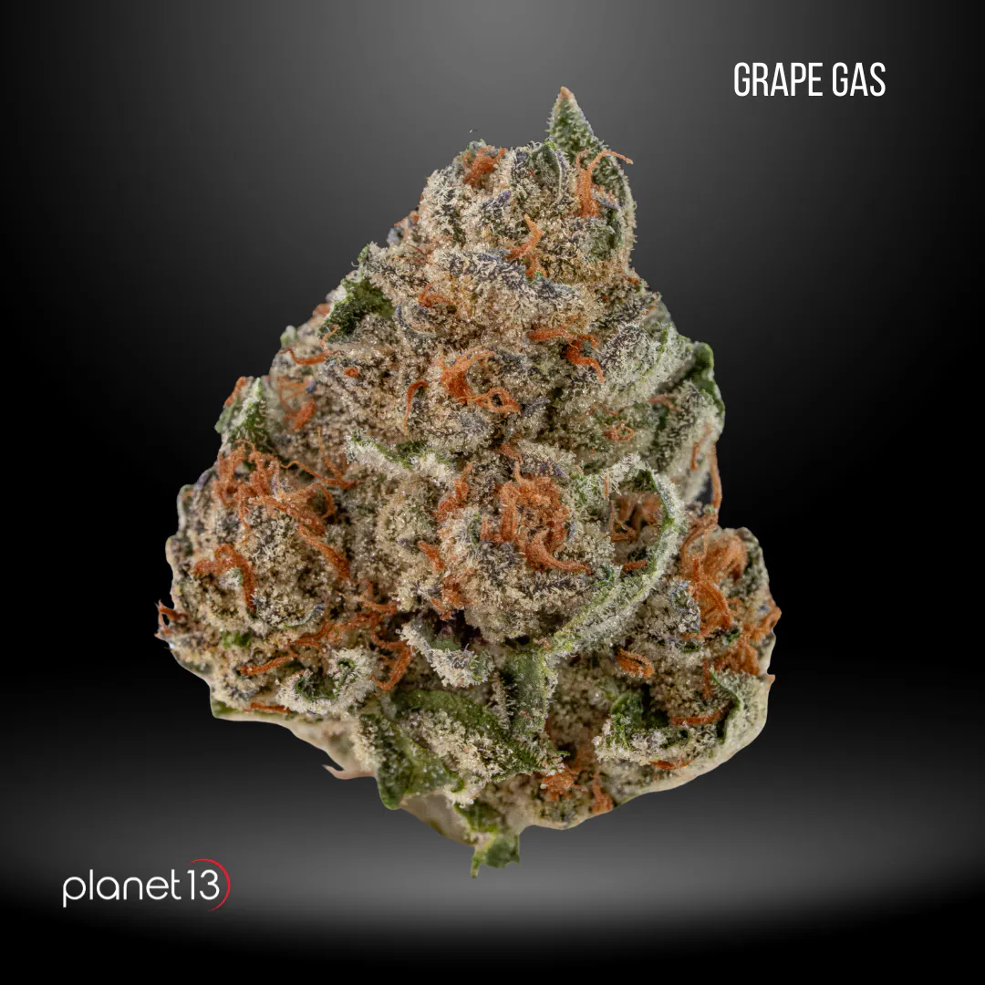 Planet 13 Cape Coral | Shop Cannabis Online