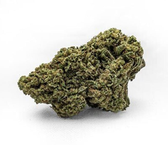 Product: Sapphire Farms | Bulk Bud - Caramel Cream