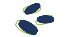 Orals category image