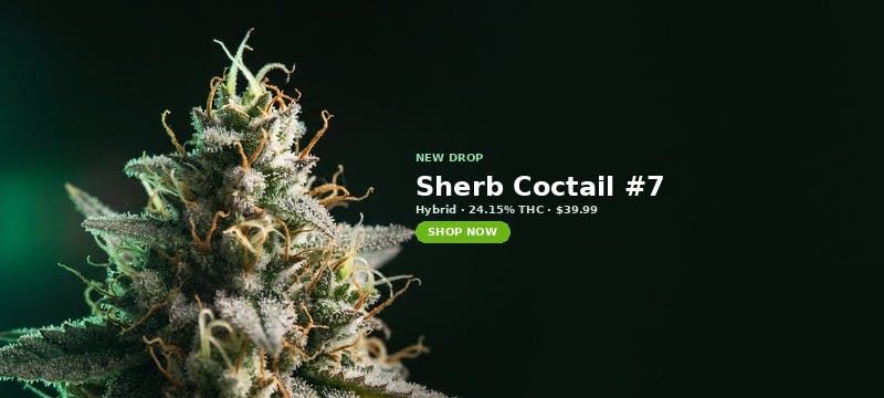 Sherb Coctail #7 now in stock at MrGreen DC — 24.15% THC