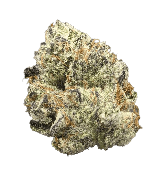 MPX Select Truffle Milk Flower - 