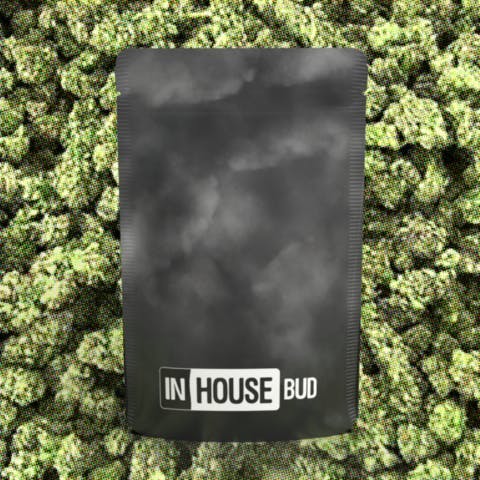 Product In House | White Hot Guava 14 x Black Velvet | Flower