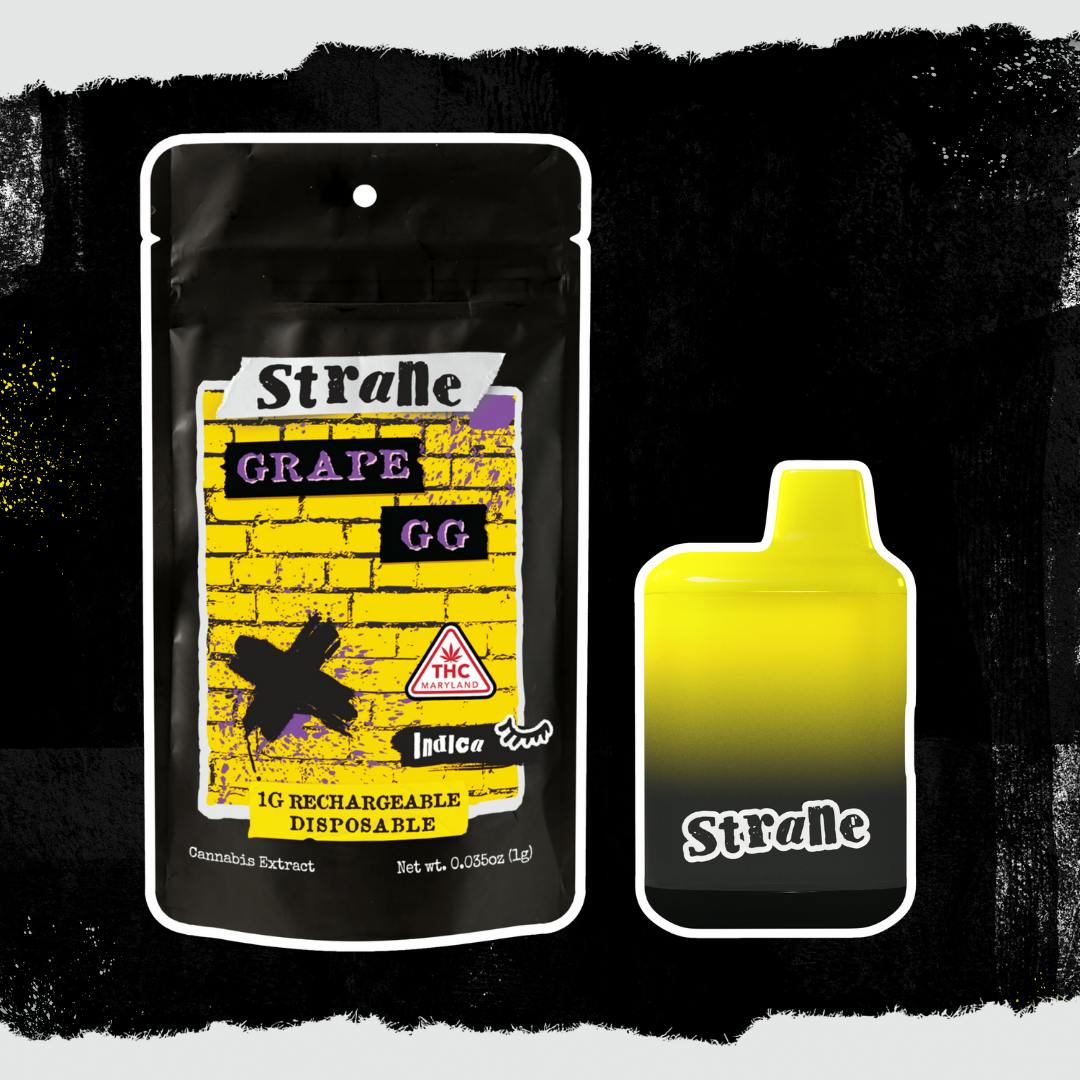 Grape GG RIP STICK Rechargeable Disposable 1g | HerbaFi