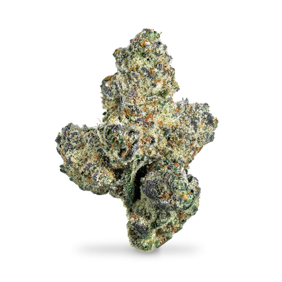 Photo of Valley Baby