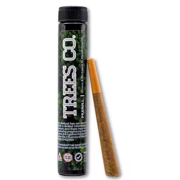 Champagne Showers (IH) - 1g Pre Roll - Trees Co.