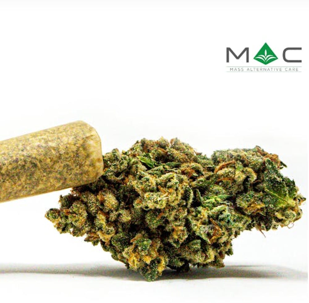 Product Jungle Thunder | Pre Rolls | 1g