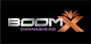 dispensary logo