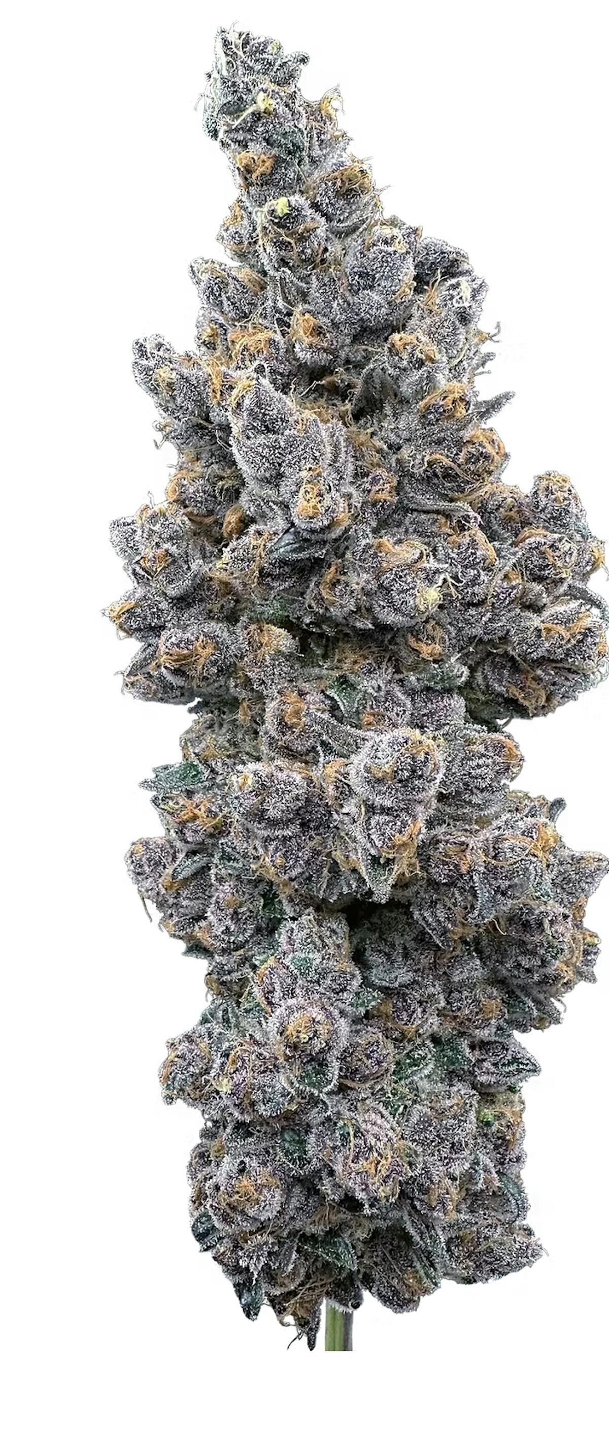 Photo of Super Boof 3.5g Flower Trifecta Farms