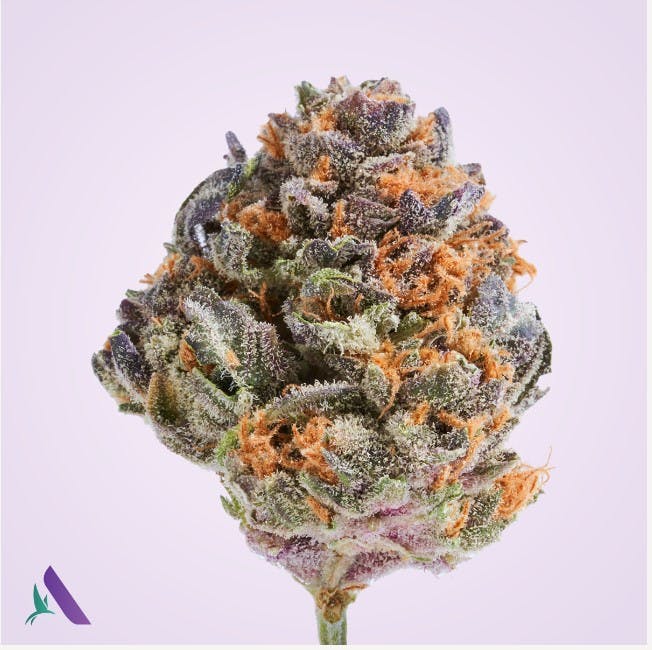 Rnbw Belts Flower T16.94 I 21310 3.5g Affinity Dispensary Med