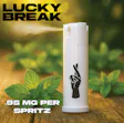 Spearmint Spritz