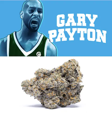 Cookies – Gary Payton – Indoor – Flower Tub – 3.5g-2