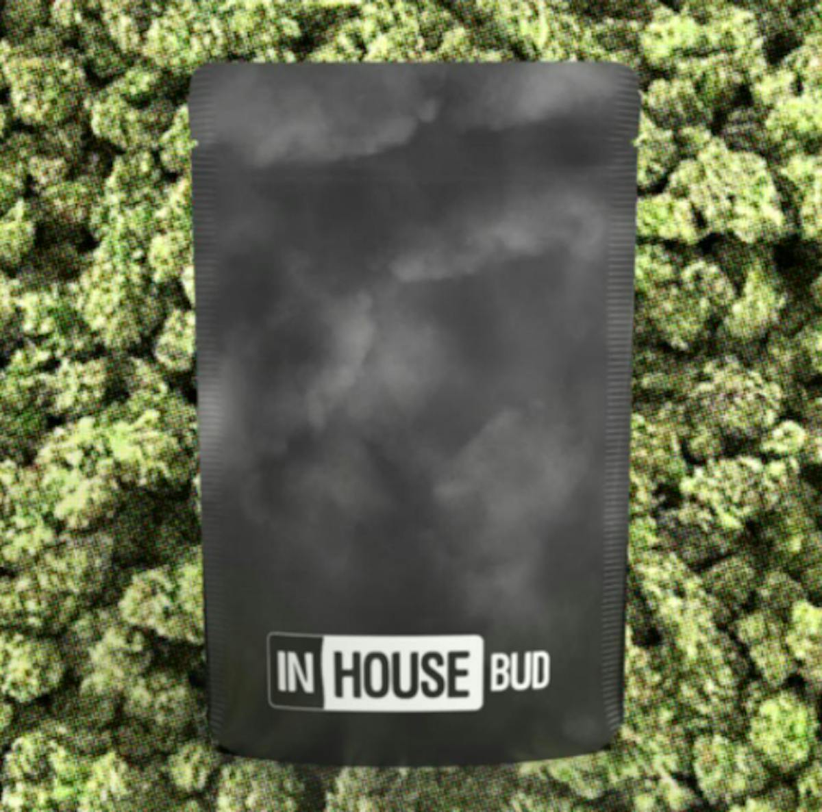 Photo of In House LA Beatnik