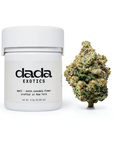 Dada | Sour Headband | Flower | Sativa-Hybrid-active