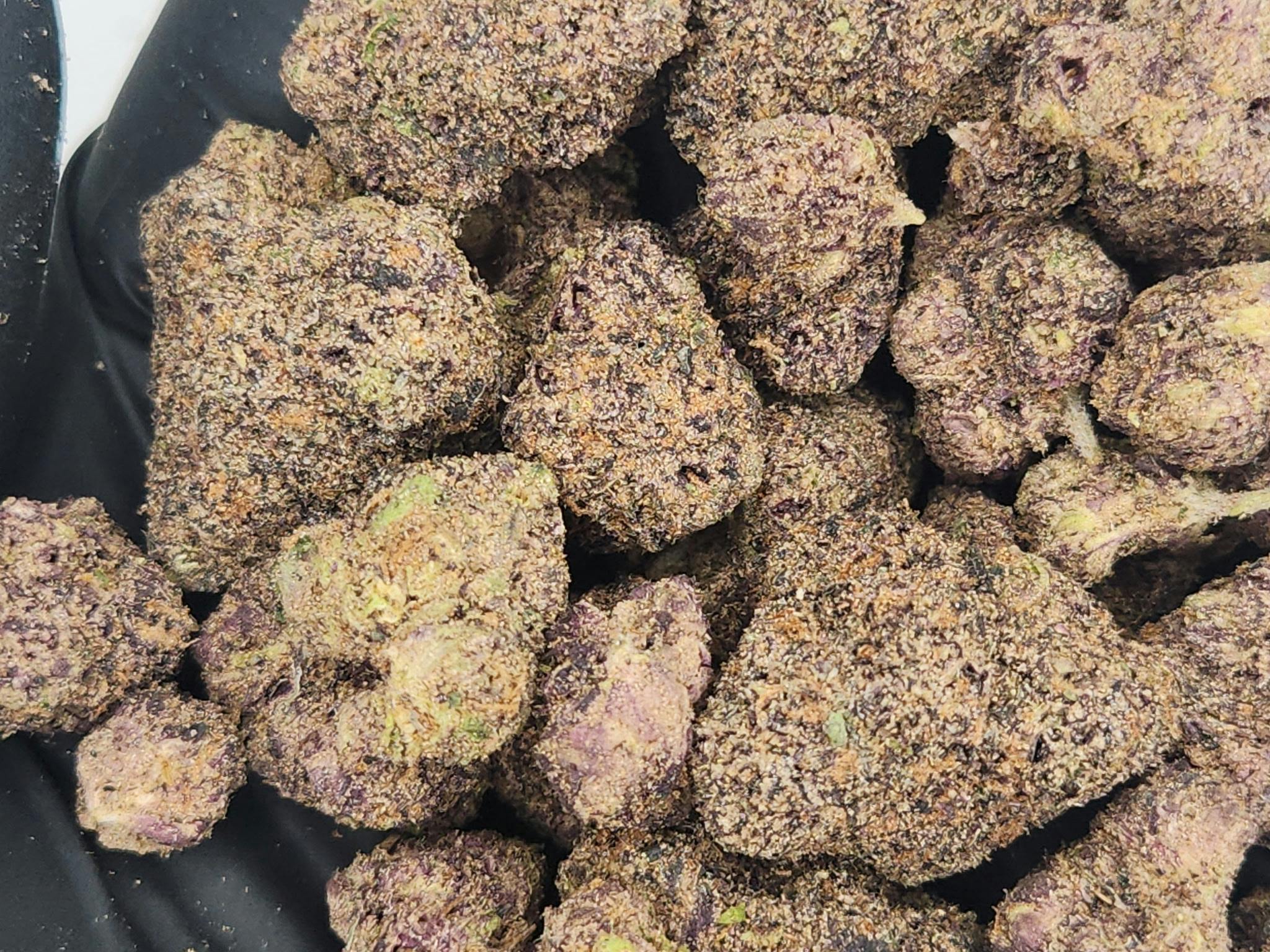 Product: Seed Junky | Bulk Bud - Blue Slurpz