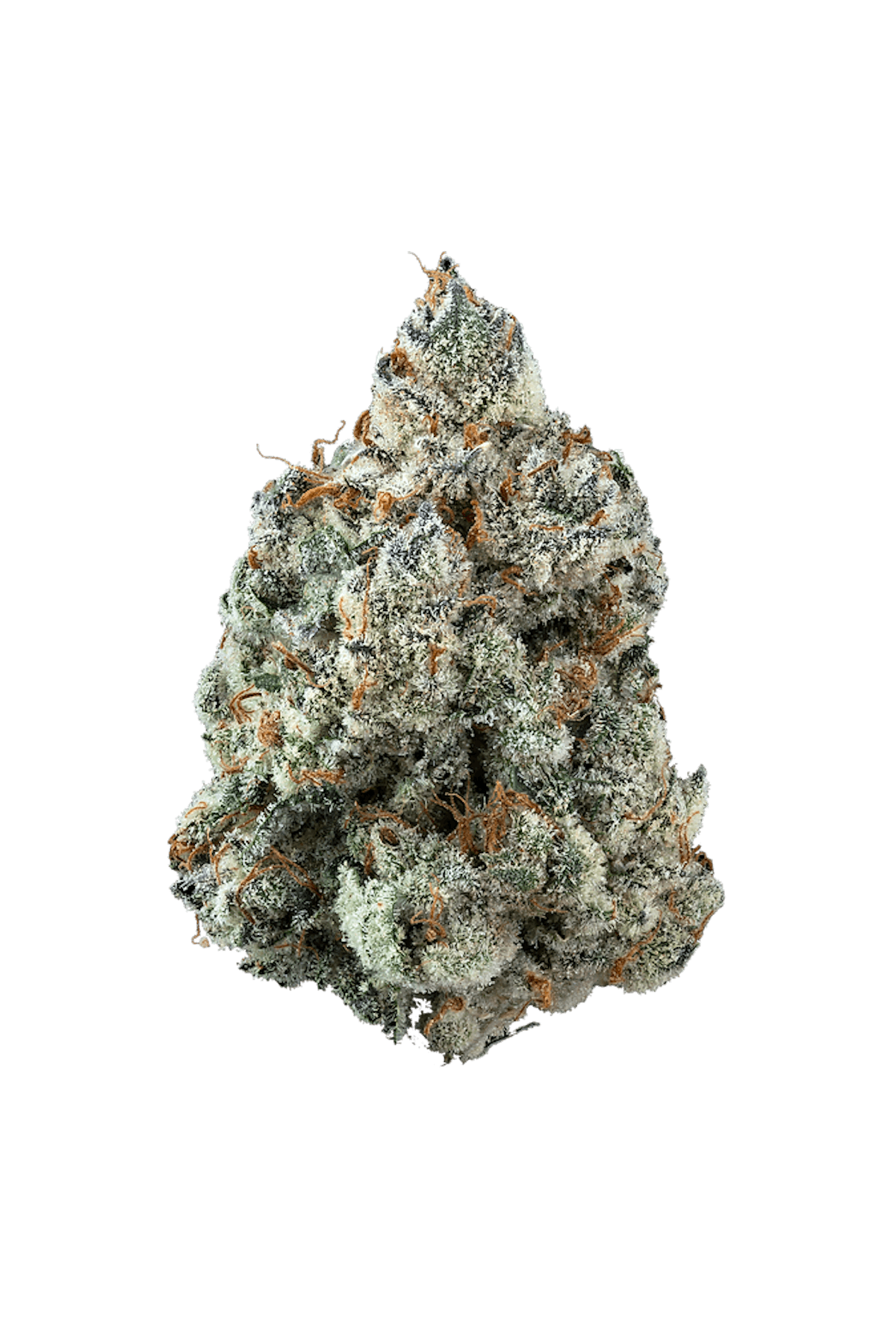 GATSBY CANNABIS CO. | GARY POPPINS INDICA-HYBRID