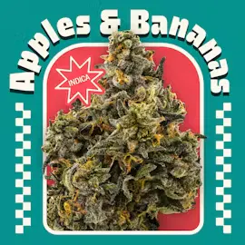 Apples and Bananas | Indica | [3.5g] | Terrasana - Parma