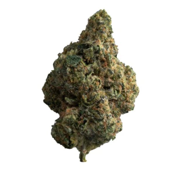 The Loud Plug - Exotic Gas (Pink Cookies) 28g >I