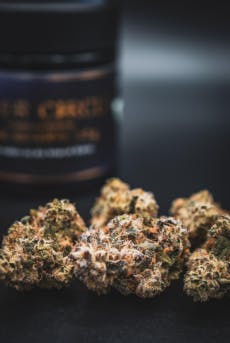 Strawnana x Tropaya | 3.5g | Pre-Packed | Inner Circle