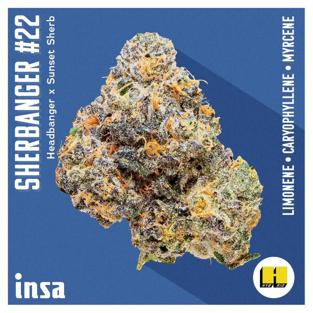 Flower - Sherbanger 22