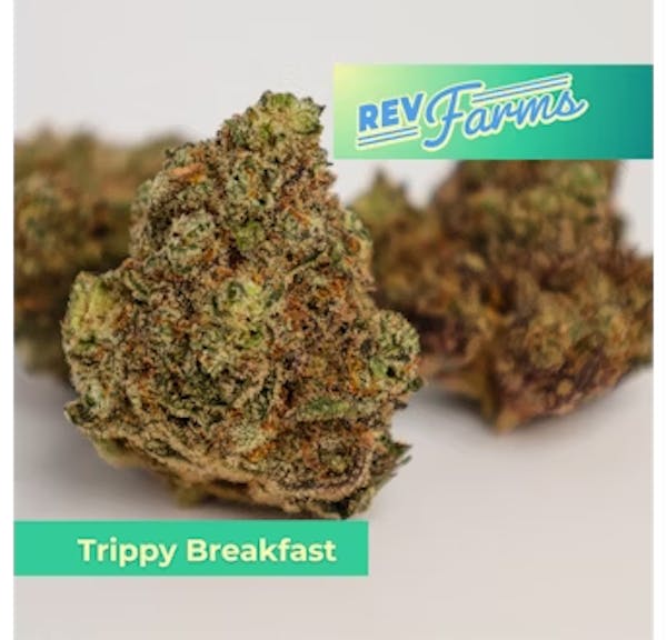Trippy Breakfast (IH) - 28g Flower - Rev Farms