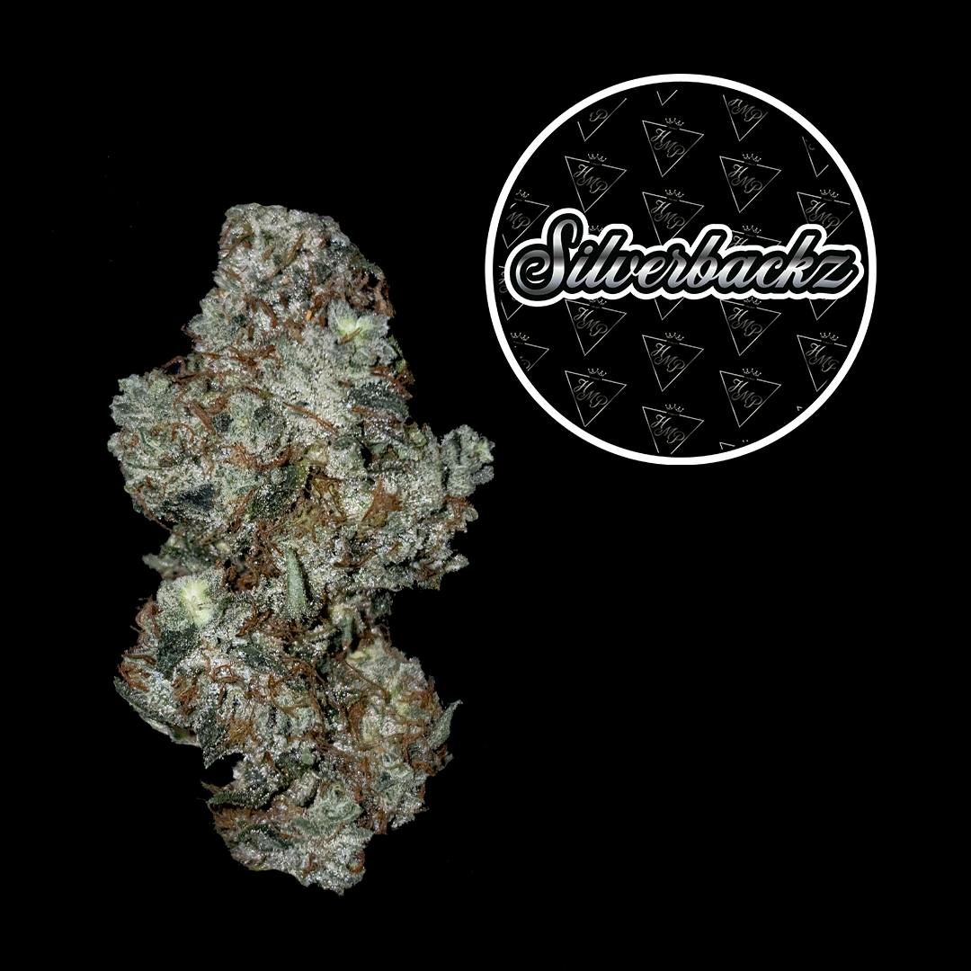 Product Silverbackz Buds