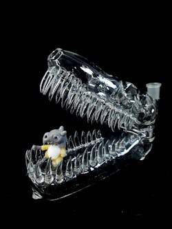 EKA Glass | Handmade Large Cubone Dino Skull Dry Pipe - Clear