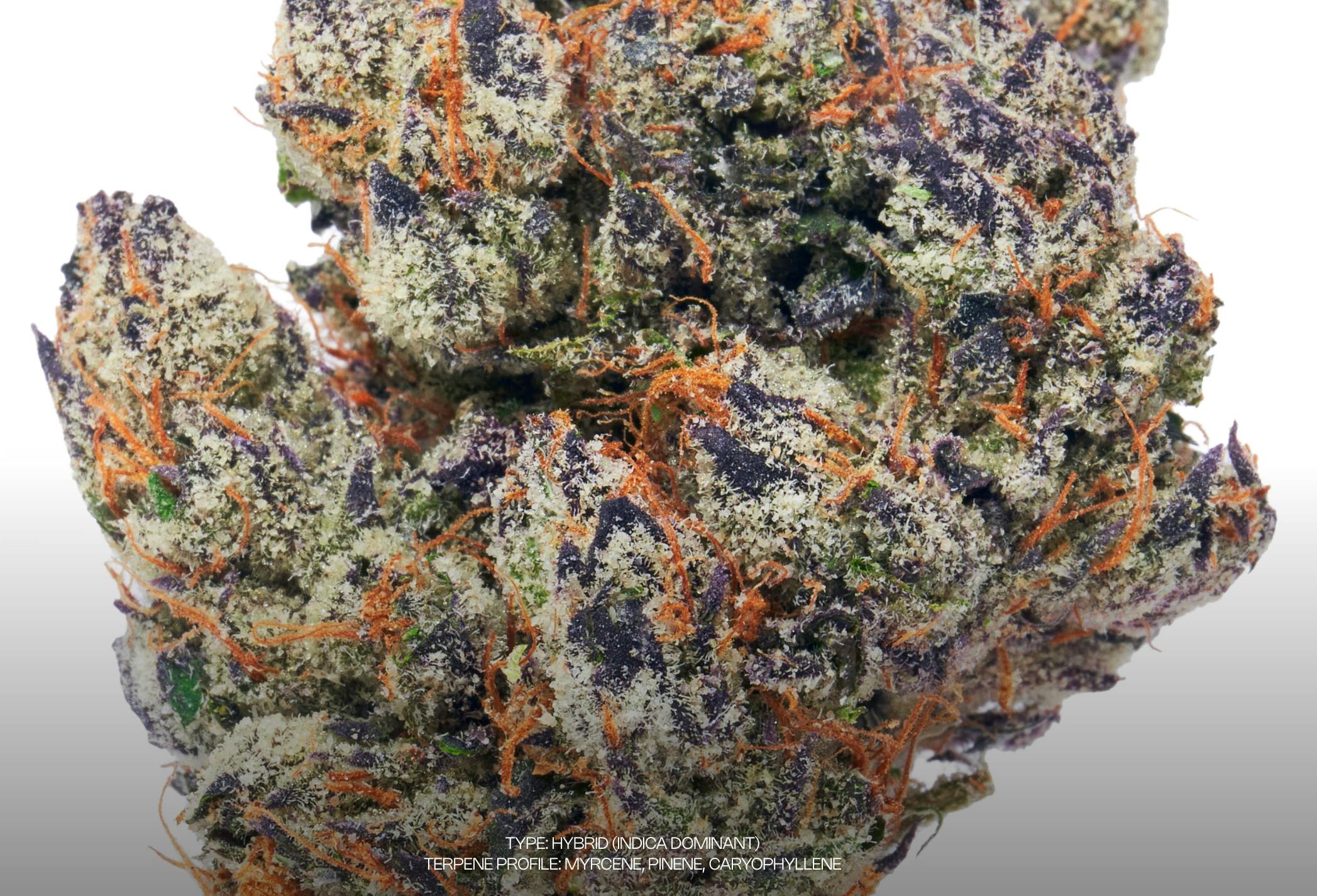 Sour Gusherz | Flower | 3.5g by Dada Exotics | Buy Online