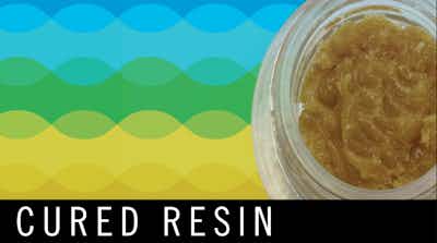 Product: Kush Mints | Cured Resin | Levitate