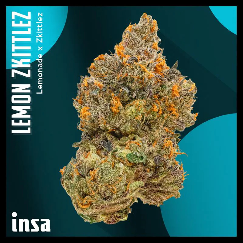 Cannabis Dispensary in Springfield, MA | Open Daily