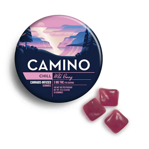 Camino | Wild Berry | Chill | 5mg-1