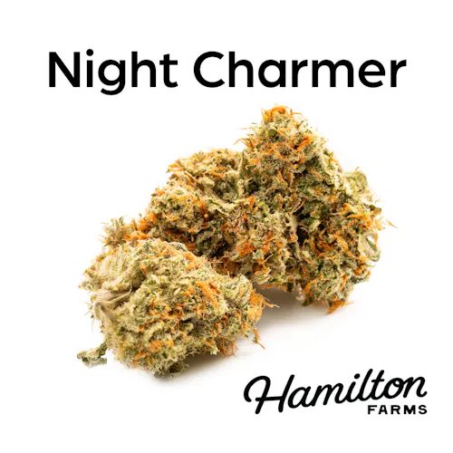 Night Charmer-1