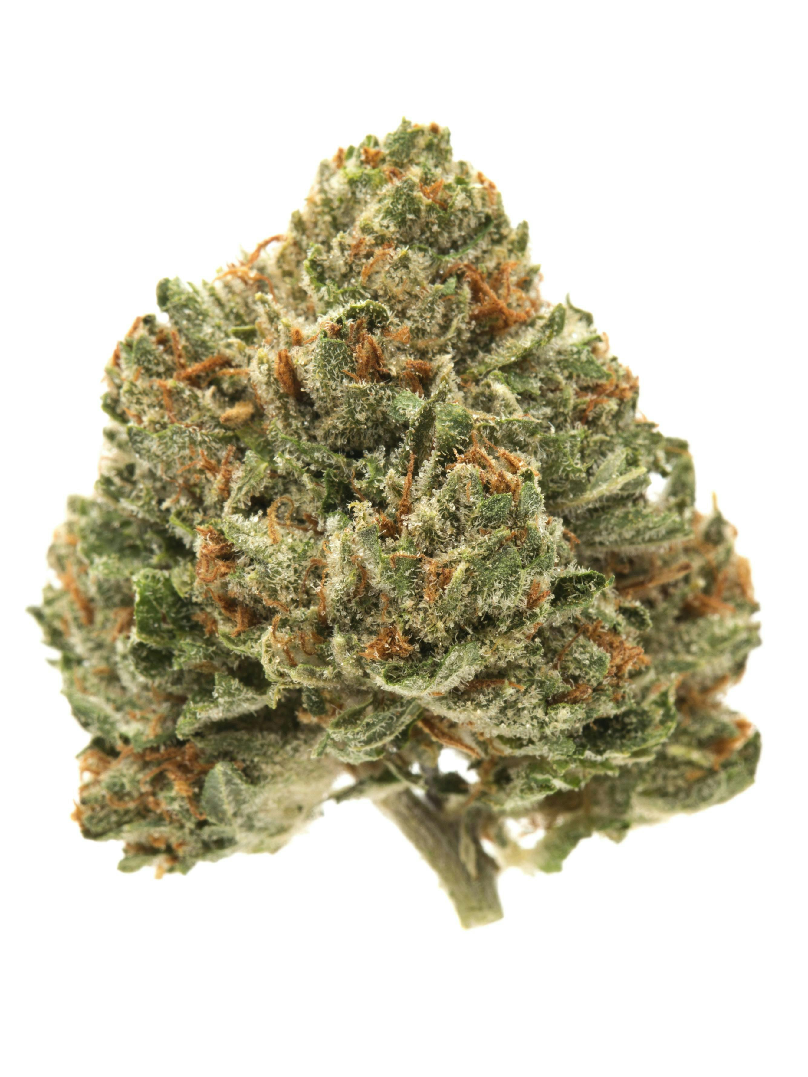 Grocery - Madero Kush by Grocery