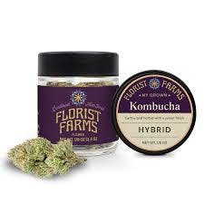 Florist Farms Flower | 7g | Kombucha