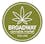 dispensary logo