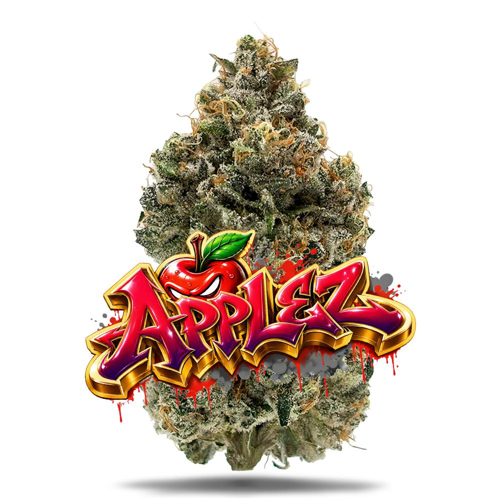Shop Applez #11 - Premium Flower in Miami Beach | Jungle Boys