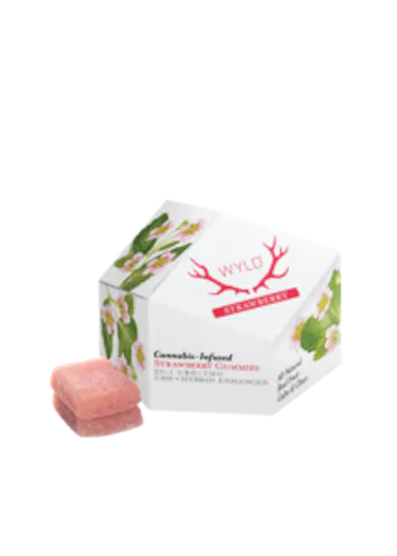 Strawberry 20:1 CBD + Hybrid Enhanced Gummies-1