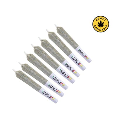 1Spliff - Orange Rntz Pre-Roll - Orange Rntz | 10x0.5g | Ashario 