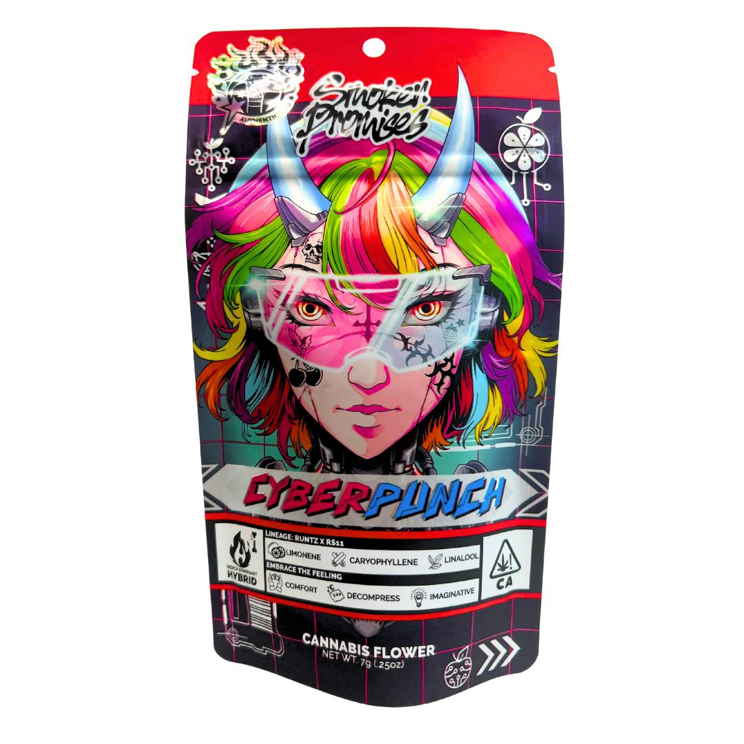 CYBERPUNCH