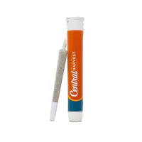 Product Central Harvest - Sour Fritter Pre-Roll (1g)