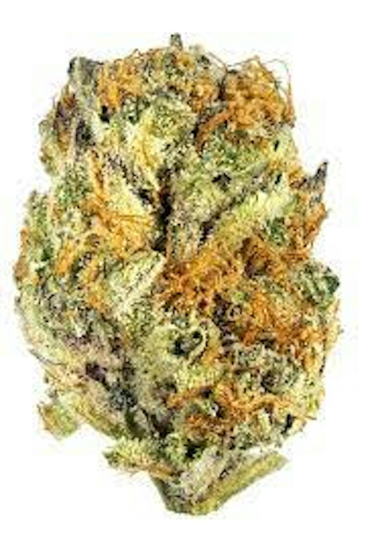 Image of Mandarin Zkittlez F1 | 7g Flower